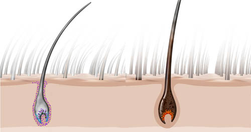 Friseur-Koengen-Neues-Jahr-Neue-Pflege